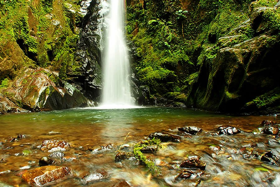 Ecuador Cloud Forest Tours Ecuador Cloud Forest Tours