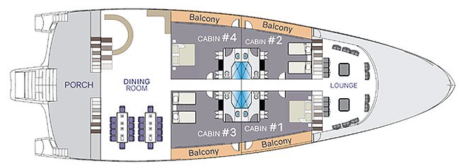 Galapagos Paradise Dreams- Camila