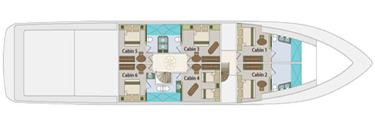 Galapagos Paradise Dreams