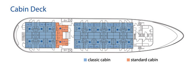 Galapagos Paradise Dreams