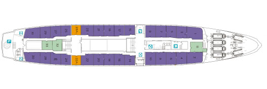 Galapagos Paradise Dreams