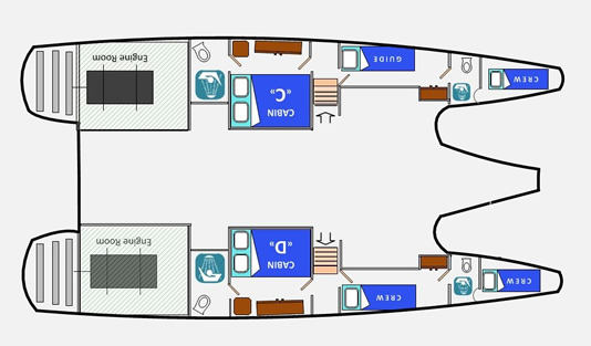 Galapagos Paradise Dreams