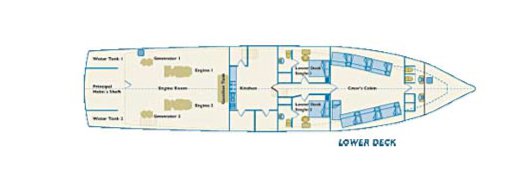 Galapagos Paradise Dreams