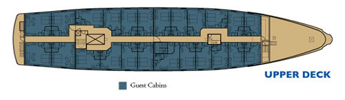 Galapagos Paradise Dreams