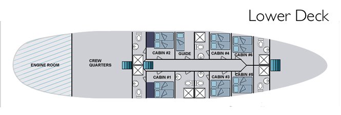Galapagos Paradise Dreams