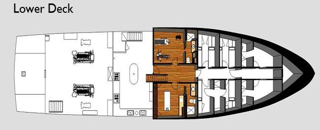 Galapagos Paradise Dreams