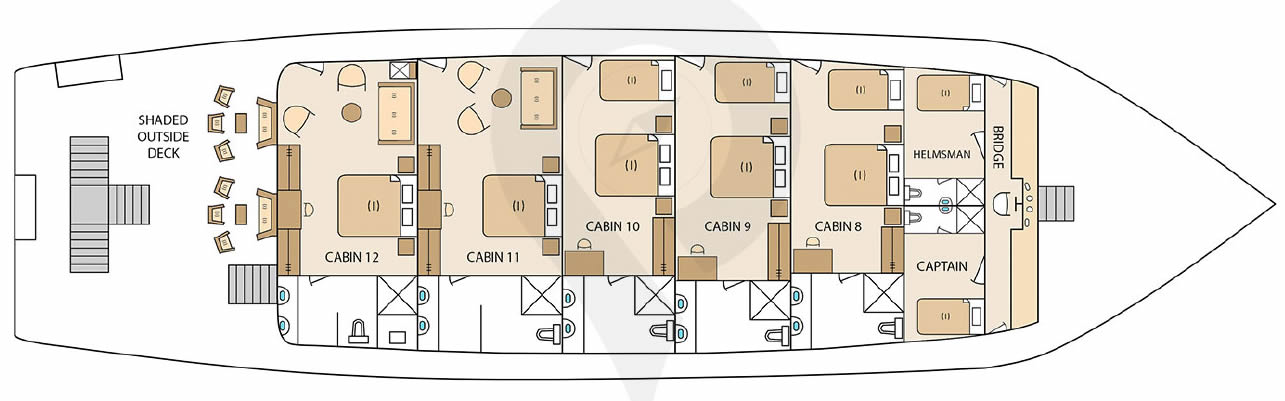 Galapagos Paradise Dreams