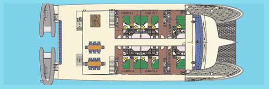 Galapagos Paradise Dreams