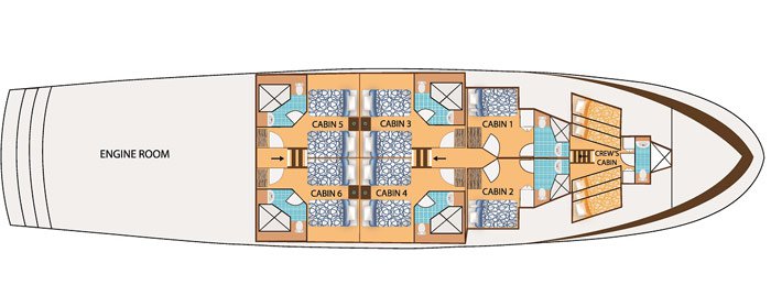 Galapagos Paradise Dreams