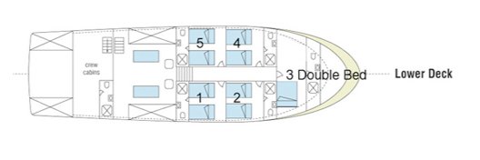 Galapagos Paradise Dreams