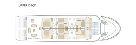 Galapagos Paradise Dreams